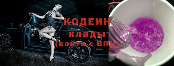 дживик Киренск