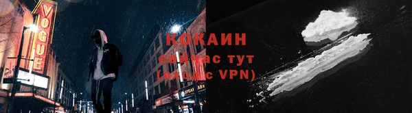 стаф Карпинск