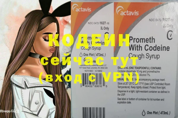 стаф Карпинск