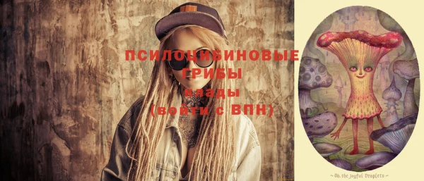 дживик Киренск