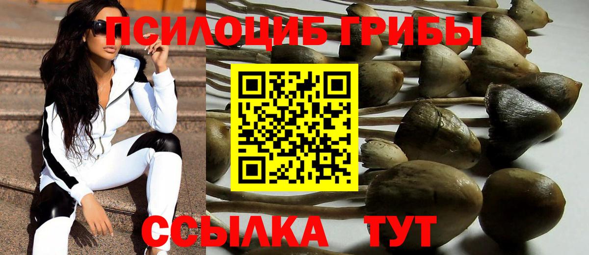 Галлюциногенные грибы Magic Shrooms  Вход с VPN  Галлюциногенные грибы ЛСД  Калининград 