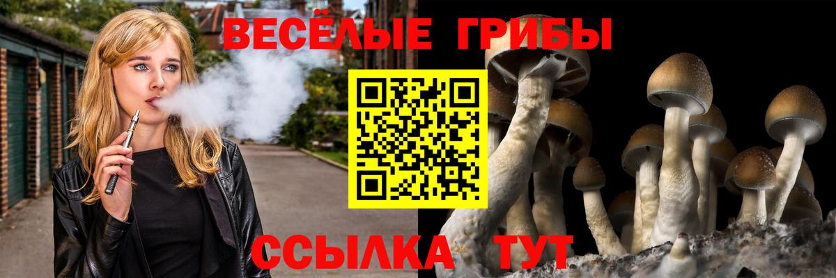 Псилоцибиновые грибы прущие грибы Калининград