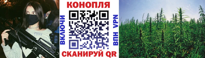 Канабис сатива  Калининград 